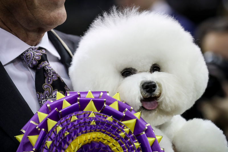 Image: Getty